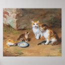 Search for kittis posters Cute