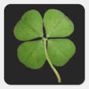 Search for clover stickers Shamrock