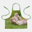Search for cats playing aprons Funny