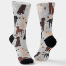 Search for labrador socks Black lab