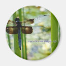 Search for blue pond magnets Nature