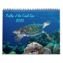 Search for sea turtle calendars Ocean