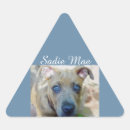 Search for pit bull dog stickers Apbt