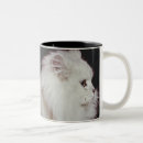 Search for this side up mugs Studio shot