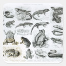 Search for zoology stickers Species