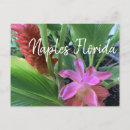 Search for naples florida postcards Vacation