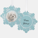 Search for coton de tulear christmas tree decorations Dog