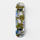 Search for coconuts skateboards Beach