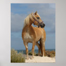 Search for haflinger posters Bob langrish