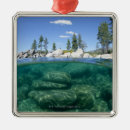 Search for lake tahoe christmas tree decorations Outdoors