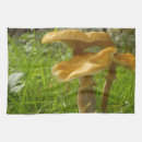 Search for edible tea towels Fungi