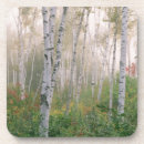 Search for new hampshire coasters Jaynes gallery