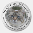 Search for cat photo stickers Pet loss