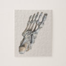 Search for human skeleton puzzles Bones