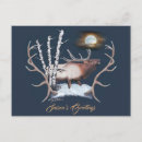 Search for bugle postcards Wapiti