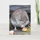 Search for scotland cards Wildlife