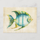 Search for aquarium postcards Fish