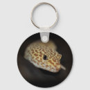Search for geckos key rings Leopard