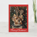 Search for yorkshire christmas cards Cute