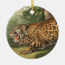 Search for onca Wildlife