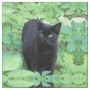 Search for cute cat fabric Green