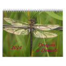 Search for dragonfly calendars Damselflies