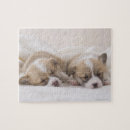 Search for corgi puzzles Canine