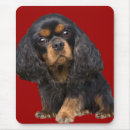 Search for charles spaniel mousepads Spaniels