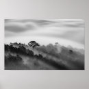 Search for pine trees mountains posters Black and white