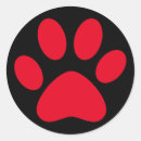 Search for black cat Red