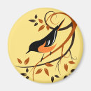 Search for oriole magnets Wild birds