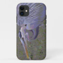 Search for blue herons iphone cases Great blue heron