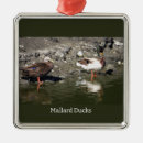 Search for mallard duck christmas tree decorations Animals