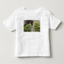 Search for bao tshirts China