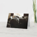 Search for barn door cards Photography