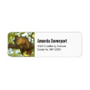 Search for squirrel return address labels Cute