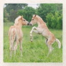 Search for colts barware Pony