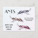 Search for pests cards Insects