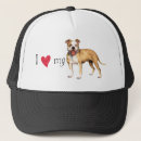 Search for pitbull accessories Apbt