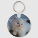 Search for persian cat key rings Cute