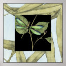 Search for dragonfly posters Insects