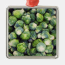 Search for drinking christmas tree decorations Nutrition