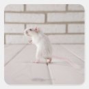 Search for gerbil stickers Rodent