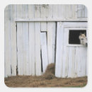 Search for farm scene stickers Animals