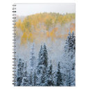 Search for aspen notebooks Fall