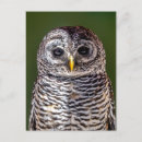 Search for nature reserve postcards Animal