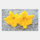 Search for daylily stickers Petals