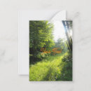 Search for calm note cards Forest