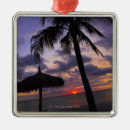 Search for cloud christmas tree decorations Tropical climate