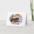 Search for chocolate lab birthday cards Brown
